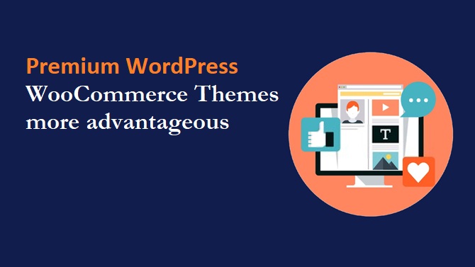 Premium WordPress WooCommerce Themes more advantageous